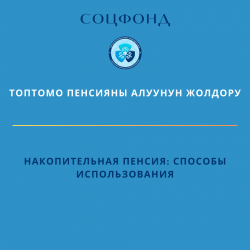 Накопительная пенсия: способы использования