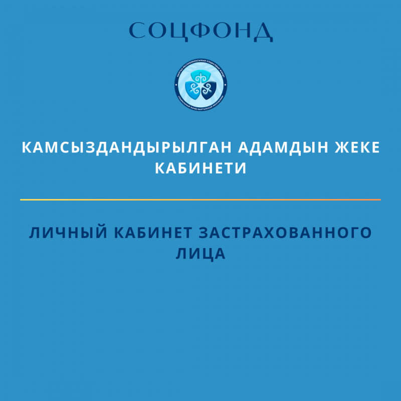 Камсыздандырылган адамдын жеке кабинети: Пенсиялык тейлөө чөйрөсүндөгү ыңгайлуулук жана жеткиликтүүлүк