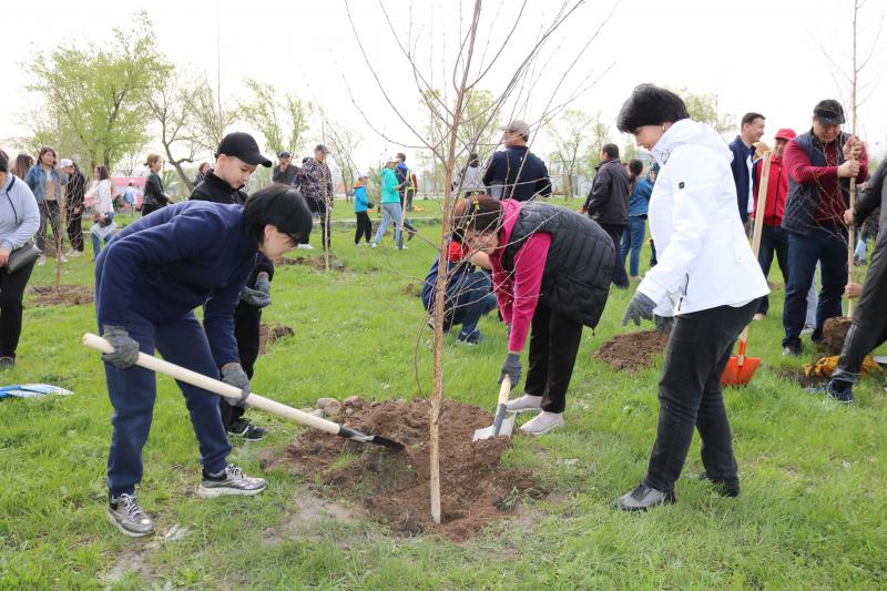 Жашыл Мурас. Сотрудники Соцфонда сегодня посадили более 100 деревьев.