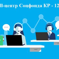 За январь-ноябрь месяцы 2023 года Call-центр Соцфонда обработал 13547 обращений